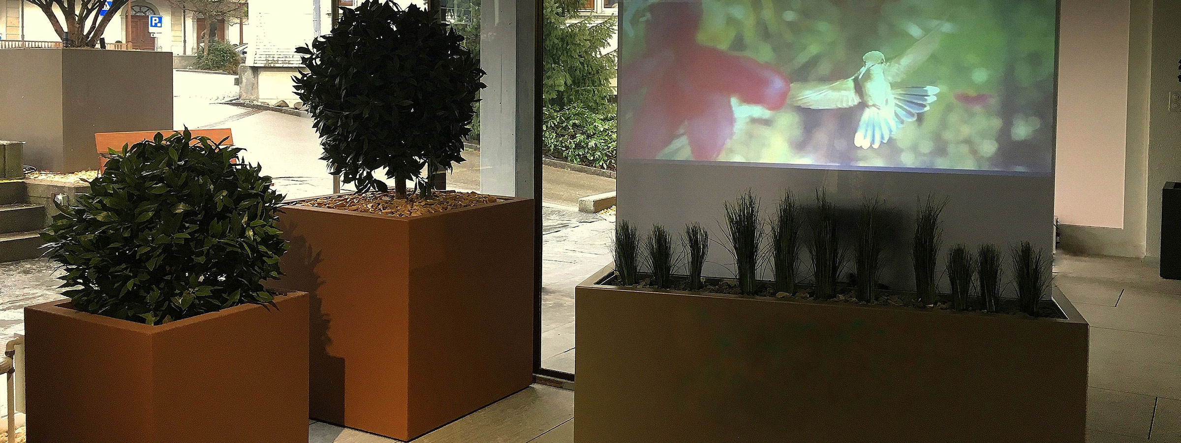 Headermotiv Pflanzentroege Beamertrog